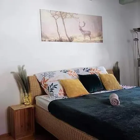 100 Eves Vendeghaz - דירה