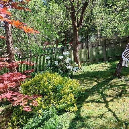 דירה 100 Eves Vendeghaz - *