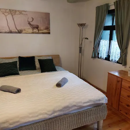 100 Eves Vendeghaz - דירה